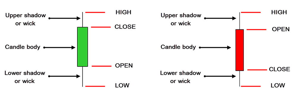 Forex Candlestick in detail